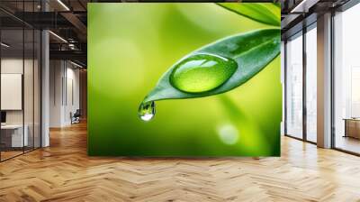 Water droplet hanging from a green leaf in a lush garden setting Wall mural