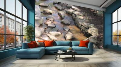 Stream Over Rocks Wall mural