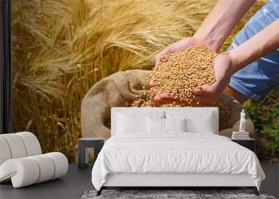 Wheat grains in the hands of a successful farmer, in a background ripe barley field. Close up of hands full of wheat from a young adult farmer. Spring sunny day Wall mural