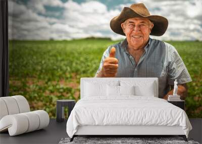 Farmer working on soybean plantation. Elderly man looking at camera with thumbs up Wall mural