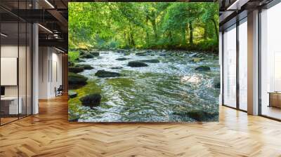 Along the river Barle in Tarr Steps Woodland Wall mural