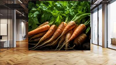 Carrots, there are many carrots that are piled together in a pile. Wall mural