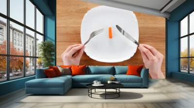 Concept of dieting, healthy eating Wall mural