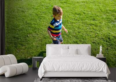 Cute curly haired child playing in green grass. Wall mural