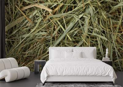 Background of natural dried hay and straw Wall mural