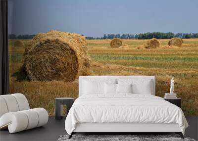 Bale of straw in stubble field after harvesting Wall mural