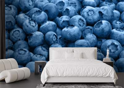 Close up background of blue toned fresh blueberry Wall mural