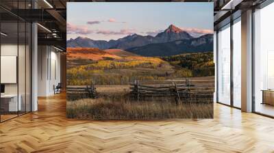 Autumn Aspen Color Wall mural