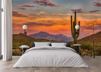 Sonoran Sunset Wall mural