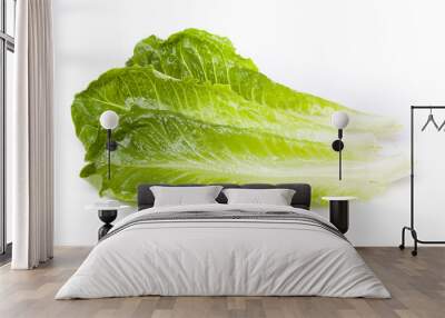 Fresh green romaine lettuce Wall mural