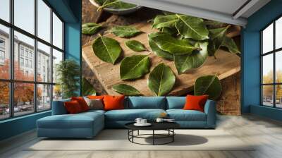 green organic bay leaves Wall mural