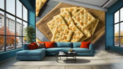 Healthy Homemade Saltine Soda Crackers Wall mural