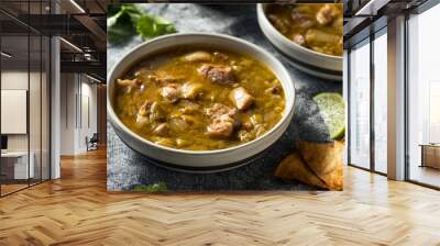 Homemade Colorado Pork Green Chili Soup Wall mural