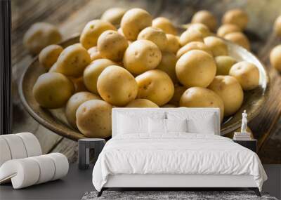 Organic White Baby Potatoes Wall mural