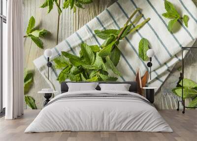 Raw Green Organic Fresh Mint Leaves Wall mural