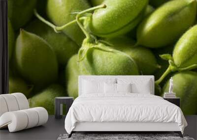 Raw Green Organic  Garbanzo Beans Wall mural