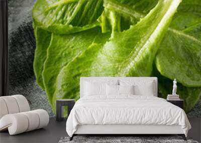 Raw Green Organic Romaine Leaves Wall mural