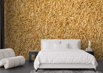 Raw Organic Dry Brown Rice Wall mural