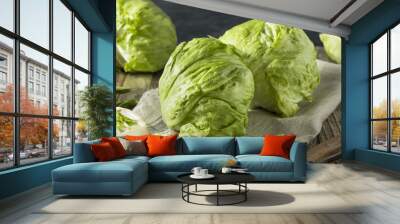 Raw Organic Round Crisp Iceberg Lettuce Wall mural