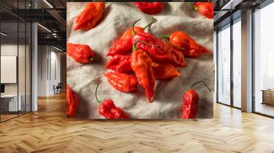 Raw Organic Spicy Bhut Jolokia Ghost Peppers Wall mural