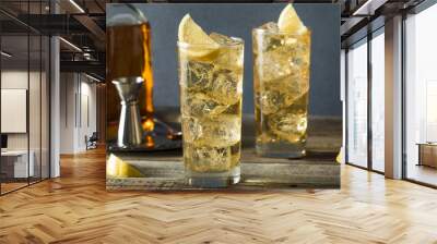 Whiskey Highball with Ginger Ale Wall mural