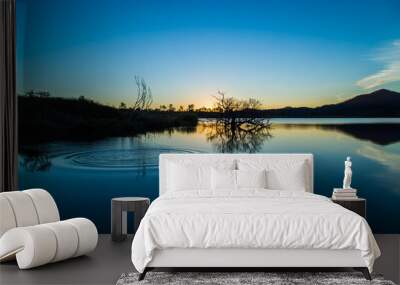 sunset over lake Wall mural