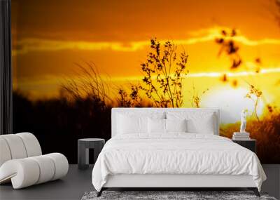 sunset in the field Wall mural