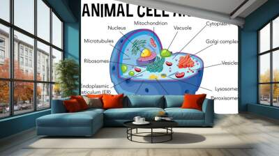 Diagram of animal cell anatomy Wall mural