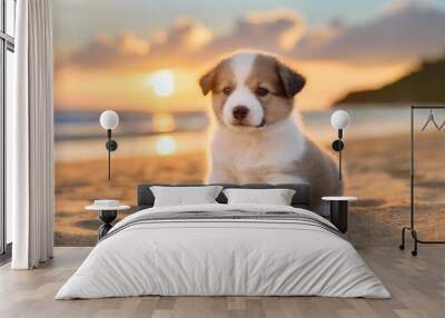 Adorable baby puppy sitting on the beach at sunrise Wall mural