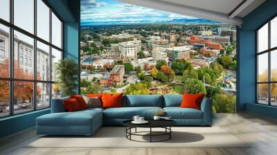 Aerial panoramic view of downtown Greenville, SC buildings under cloudy sky Wall mural