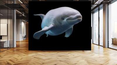 Beluga whale portrait with a black background  Wall mural