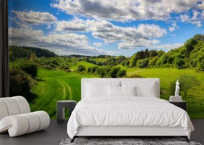 landscape with green grass and blue sky Wall mural