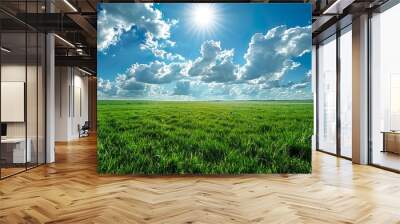 Green field under a vast blue sky on summer sunny day Wall mural