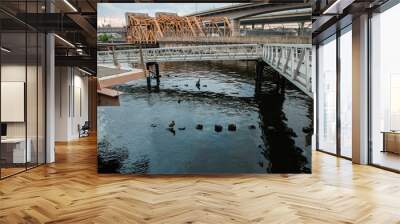 Ducks sitting in the water with a few bridges and walkways behind them Wall mural