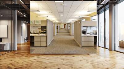 Empty hallway in modern office business building with cubicles and shelves Wall mural