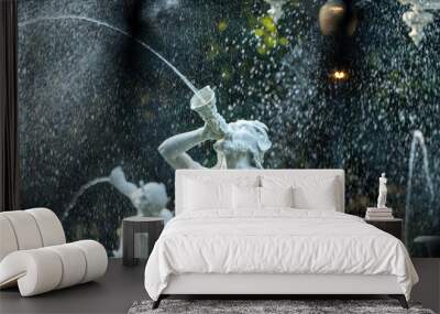 Fountain Statue Wall mural