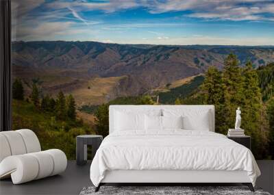 Hells Canyon Overlook Wall mural