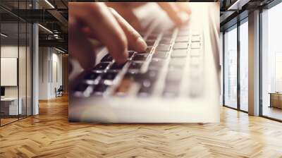 Businessman typing on a laptop computer Wall mural