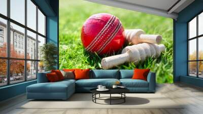 Cricket ball and bails on green grass of cricket pitch background Wall mural