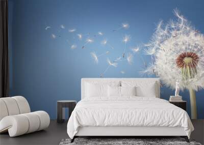 Dandelion clock dispersing seeds background Wall mural