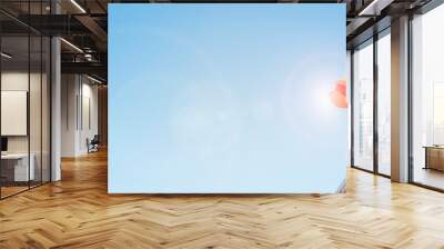 Dart in bullseye of dartboard with blue sky background  hitting target, goal and success Wall mural