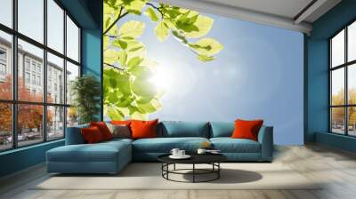 spring leaf background Wall mural