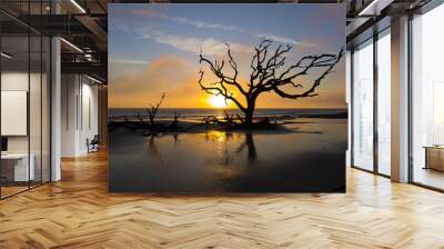 Driftwood and dead tree on a beach at sunrise - Jekyll Island, Georgia Wall mural