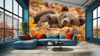 majestic adorable brown bear cub rolling in the autumn leaves  Wall mural