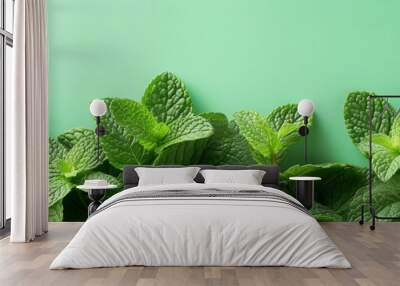 Mint leaves on solid background with copy space. Wall mural