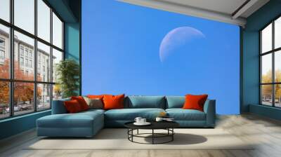 moon in the sky Wall mural