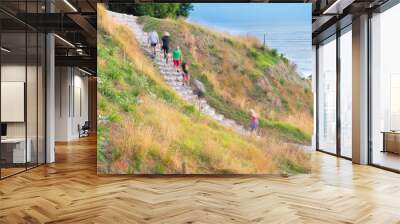 People on stone steps down track up Mount Maunganui Wall mural