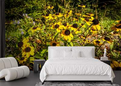 Bright yellow Appalachian Sunflowers in beautiful sunlight Wall mural