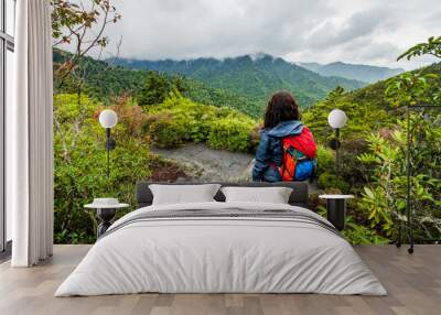 Woman hikes by beautiful cloudy overlook in the Great Smoky Mountains National Park Wall mural