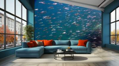 Underwater Wall mural